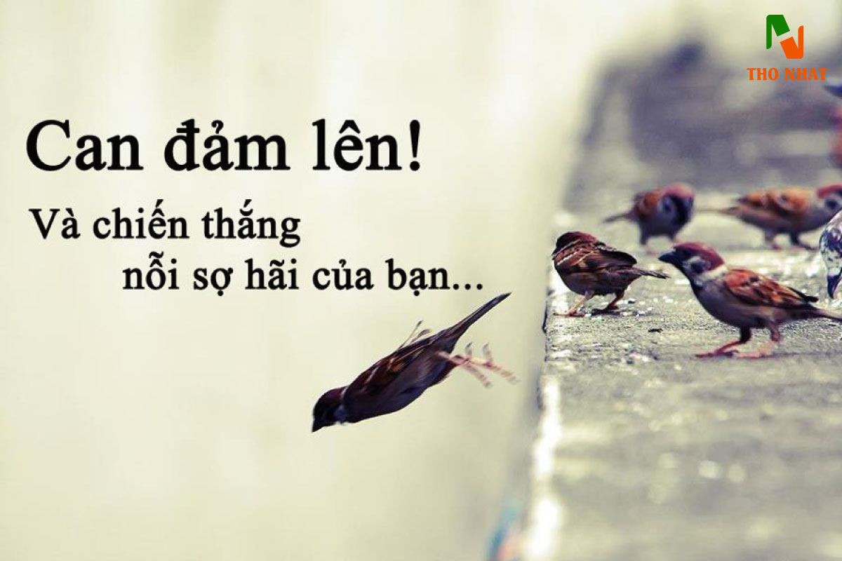 Can đảm lên! Và chiến thắng nỗi sợ hãi của bạn...