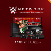 Mua WWE Network 12 Tháng Chỉ 300K